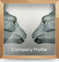 company_profile