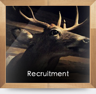 Recruitment